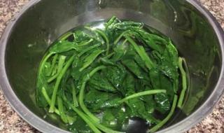 菠菜炒粉条菠菜最好吃的6种做法 菠菜粉条的做法
